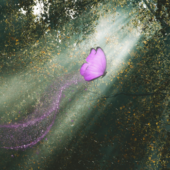 A purple butterfly flies through a sunlit forest, leaving a sparkling purple trail behind.